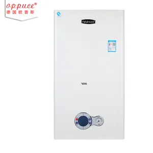 20KW No. 3 gas wall-hung boiler Household Water Heater Domestic Gas Wall-hung Boiler Wall-mounted heating system