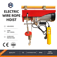 Hoist Listrik Bersertifikat CE Anti Karat 110V 220V 230V 240V Tenang dengan Kontrol Kabel dan Nirkabel 1 Ton untuk Acara