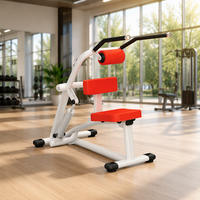 Machine commerciale MND-H9 en acier pour abdominaux et extensions dorsales