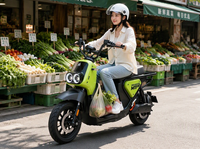 Nouveau Vélo Électrique à Deux Roues Conforme aux Normes Nationales pour Adultes – Vente Directe Usine, Approvisionnement Transfrontalier