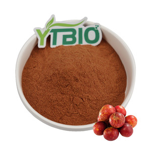 Polvo de Bayas de <span class=keywords><strong>Camu</strong></span> <span class=keywords><strong>Camu</strong></span> Liofilizado, Sin OMG y Vegano - Product Image 3