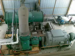 Small Condensing Steam Turbine For Biomass Waste Heat Recovery Power Plant