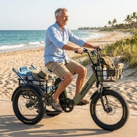 Nouveau Tricycle Électrique Cargo Édition Premium Double Moteur avec Assistance au Pédalage, Moteur Arrière 250W 48V, Batterie Lithium 15Ah, Frein à Disque