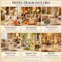 Huile parfumée pour hôtel, faible viscosité, sans colmatage, huile pour diffuseur d'arômes sans eau, sans huile de support, parfumage commercial