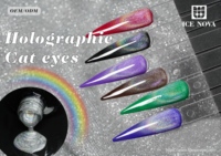 Kit de vernis gel holographique laser arc-en-ciel BD, sans TPO, sans HEMA, OEM ODM, sans avis