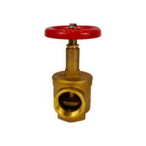 American Standard <b>Fire</b> Hydrant Landing Brass Hose - Product Image 1