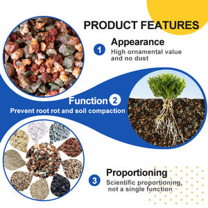 Mélange de granulats pour plantes succulentes, <span class=keywords><strong>terreau</strong></span> pour pot de plantes, couverture de <span class=keywords><strong>terreau</strong></span>, emballage personnalisé disponible, <span class=keywords><strong>terreau</strong></span> pour <span class=keywords><strong>aquarium</strong></span>, <span class=keywords><strong>terreau</strong></span> pour plantes - Product Image 3