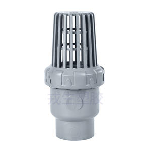 Válvula de Retención de Cesta para Bomba de Agua de Plástico CPVC, Filtro de Válvula Inferior, Válvula de Bola y Válvula de Tubería de Agua Unidireccional - Product Image 1