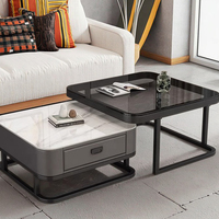 Table Basse de Salon Moderne en Marbre avec Rangement Durable, Design Élégant et Fonctionnel