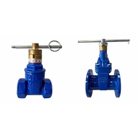 Vanne à opercule à siège souple à bride DN100 DIN3352 PN16 en fonte GGG50, actionnée hydrauliquement pour l'eau, l'huile et le gaz, avec garantie de 3 ans