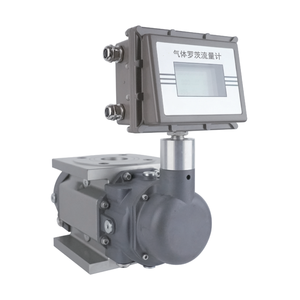 Flowmeter Volumetrik Digital Stainless Steel yang Dapat Disesuaikan, Flowmeter Gas Roots untuk Media Udara, OEM +/-1% Flange - Product Image 1