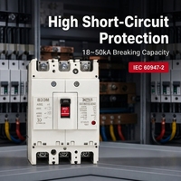 대량 구매 가능 18kA 30kA AC MCCB 150-175A 3P OEM CE 인증 라틴 아메리카 음료 공장용