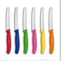 Couteau à steak en acier inoxydable, couteau à pain à bord dentelé, couteau de table occidental pour la maison, les restaurants, les hôtels et le camping