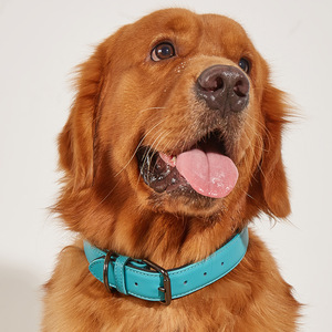 Kalung Anjing Kulit Mewah Modern Sederhana Tahan Lama Ramah Lingkungan Anti Air Lembut Nyaman Ukuran Dapat Disesuaikan Logo Dapat Disesuaikan - Product Image 4