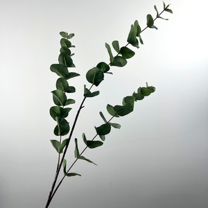 Offre Spéciale – Branches d'eucalyptus artificielles effet toucher réel, feuilles en <span class=keywords><strong>soie</strong></span> pour décoration <span class=keywords><strong>de</strong></span> mariage et <span class=keywords><strong>de</strong></span> maison - Product Image 1