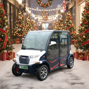 Низкоскоростной электромобиль S4.db 48В/60В с свинцово-кислотным аккумулятором - Product Image 1