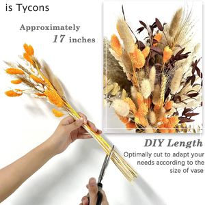 Dried Flowers Dry <strong>Pampasgrass</strong> Decoration Natural Pampas Grass Bouquet for Home Bohemian Autumn - Product Image 2