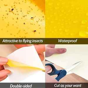 Powerful Adhesive <strong>Bug</strong> Catcher Yellow Glue <strong>Trap</strong> - Your Insect-Free Guarantee - Product Image 2