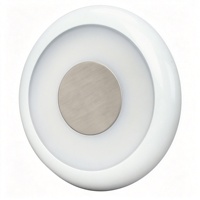 Lámpara de Cortesía Automotriz Redonda Compacta de 12-24V con Anillo LED Cálido y Disco Decorativo de Aluminio para Lectura en el Asiento Trasero