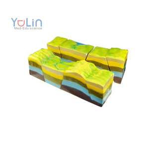 مصنعي المعدات التجريبية للمدارس الثانوية والعليا الصغار توريد نماذج هيكل جغرافي وجيومورفي مشهورة - Product Image 1