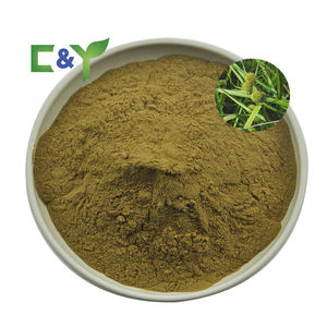 ผงสารสกัดจาก sparkanium stoloniferum, 10:1, 20:1, 30:1; ผงสารสกัดจากสเปรย์น้ำสากาเนียม stoloniferum - Product Image 2