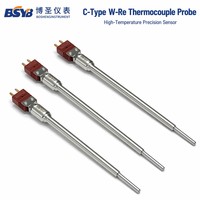 C Type W-Re Thermocouple Probe | High Temperature Sensor 0-2300°C | Gold-Plated Pins | Stainless Steel | BS10/BS20 Series