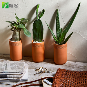 Penjualan laris Set peralatan mawar gurun buaya kaktus bonsai Set Bonsai untuk taman dalam ruangan bonsai kit alat plantable tanah - Product Image 4