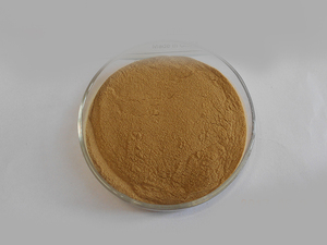 Extrait de fleurs de houblon de bière naturel en gros, prix naturel, 5% de poudre de xanthohumol - Product Image 6