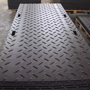 Dalles de pavage en HDPE personnalisées avec logo en relief ZSPE, écologiques, haute résistance à <span class=keywords><strong>la</strong></span> traction, pour cérémonies royales et gouvernementales - Product Image 2