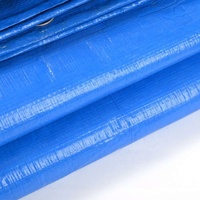Bâche en plastique enduite de PE, résistante à l'eau, de taille et de couleur personnalisées, en feuille et en rouleau, pour rideaux