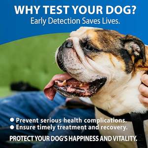 Canine/Dog HealthCheck 4-in-1 Test Kit Screening of Common Canine Illnesses Quick and Easy <strong>At</strong>-<strong>Home</strong> <strong>Testing</strong> - Product Image 4