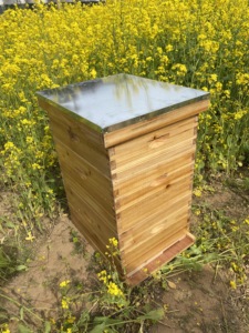 2024 Hot Bán một nông cạn và hai sâu có thể tháo rời Hive Starter Bộ dụng cụ luộc Sáp tổ ong cho ong tốt hơn nuôi - Product Image 4