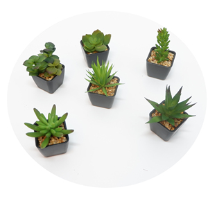 DIY creativo Micro paisaje Artificial Mini suculentas negro PP maceta miniatura planta suculenta - Product Image 1