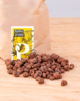 Kit de démarrage de terrarium en verre pour plantes, pour jardin ou pour bureau, décoration murale, bricolage, design moderne