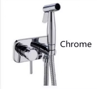 Ensemble de pulvérisateur de bidet de salle de bains en acier inoxydable pour le nettoyage des hôtels en laiton de style moderne