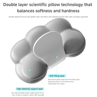 Oreiller ergonomique moderne en mousse à mémoire de forme pour dormeurs sur le côté et sur le dos, avec soutien du cou et confort cervical