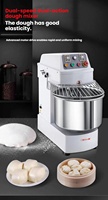 Boulangerie HS 15kg Farine H30 H20 Hs30 Hs40 25kg Hs60 H130 H60 Capacité 20kg Mélangeur à pâte à spirale Macaron 50kg en Afrique du Sud Nigeria