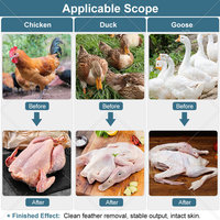 Matériel d'abattage de volailles ORME compact pour petites exploitations : canards, oies, cailles, poulets - À vendre