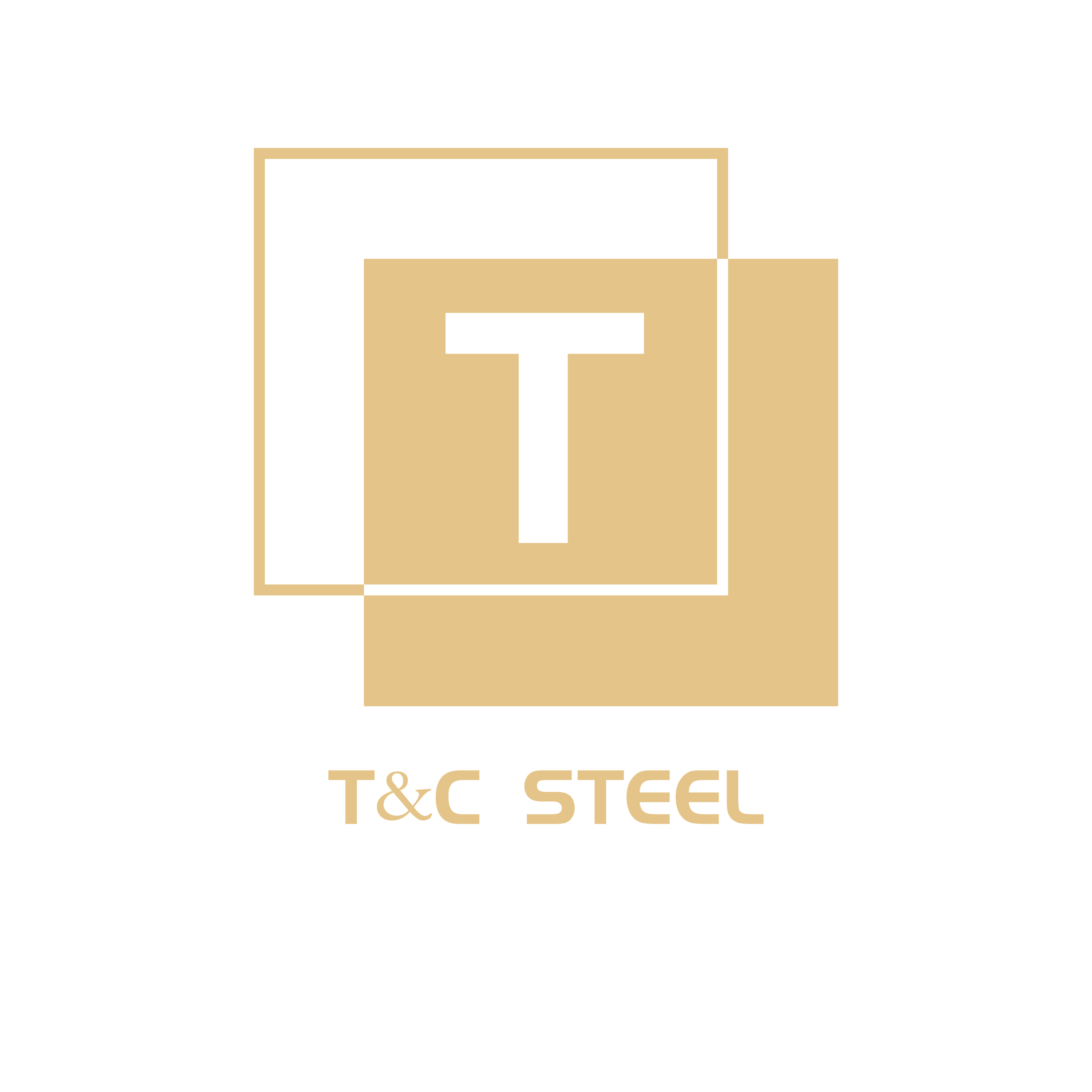 Foshan T&C Steel Co., Ltd. logo