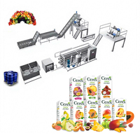 Ligne de production d'équipements industriels sur mesure pour la transformation de jus de fruits, usine de boissons