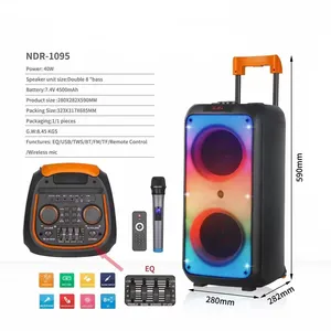 Ndr1095 Dubbele 8 Inch Subwoofer Draadloze Bluetooth Karaoke Trolley Speaker Party Met Draadloze Mic Draagbare Dj Speaker