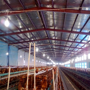 Allevamenti di Polli Prefabbricati in Acciaio dalla Cina, Capannone per Pollame per 5000 Galline - Product Image 2