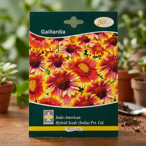 Indo-American Hybrid Seeds IAHS GAILLARDIA <b>Dried</b> <b>Flowers</b> MESA <b>YELLOW</b> 10 Seeds India - Product Image 3