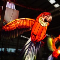 Farol Chino Grande Personalizado con Luces para Decoración de Eventos Nocturnos en Interiores y Exteriores, Faroles con Temática de Animales