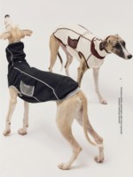 Luxuriöses, bequemes Partner-Outfit für Hundebesitzer: Whippet-Pullover mit magnetischem Netzdetail, hohem Kragen und 100 % elastischer Faser