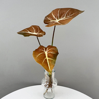 QYYM-414 petit 3 têtes Offre Spéciale Style nordique simulé plante verte arbre maison marché décoration