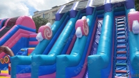Glissière colorée de parc d'attractions de ville d'amusement de trampoline de grand videur de bonbons gonflables extérieurs et intérieurs
