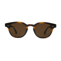 Nouvelles lunettes de soleil tendance de haute qualité, design de luxe, fabricant de lunettes de soleil personnalisées, nouvelles lunettes de soleil en acétate à la mode pour hommes et femmes