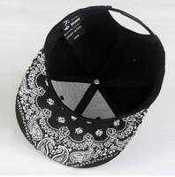 Gorra Snapback de Forro Polar con Diseño de Paisley y Logotipo Personalizado para Unisex, Color Negro Liso, Impresión para Actividades al Aire Libre, Fabricada en China