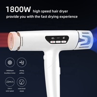 Sèche-cheveux pliable haute puissance BLDC à technologie ionique plasma haute vitesse 1800W avec diffuseur pour cheveux bouclés